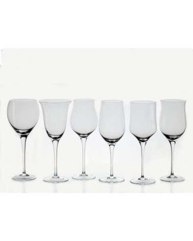 VERRE VIN VERDEJO DEGUSTATION